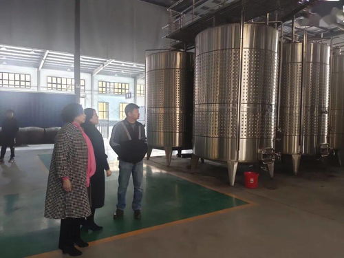 市婦聯(lián)來我縣調研婦女創(chuàng)業(yè)就業(yè)工作