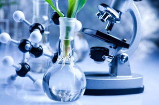 專業解讀 no.22 生物科學 探索生命的奧秘